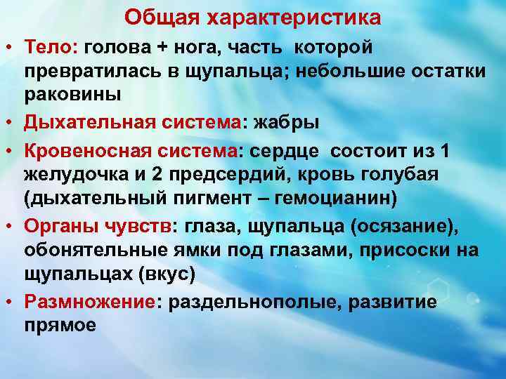 Общая характеристика • Тело: голова + нога, часть которой превратилась в щупальца; небольшие остатки