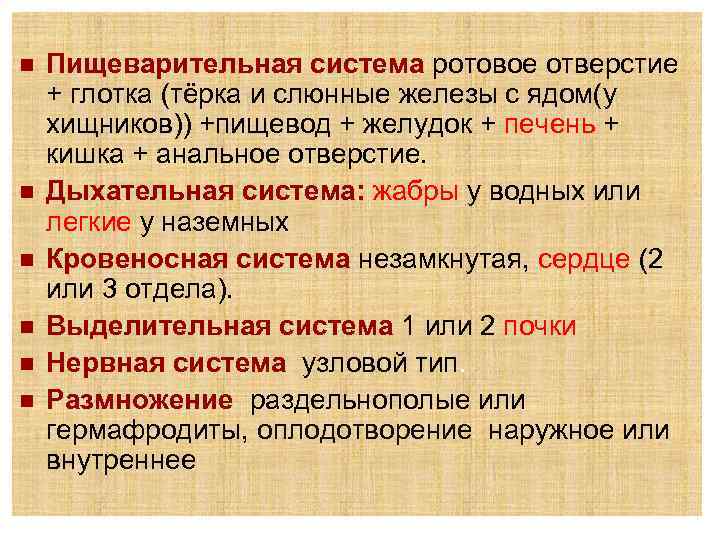 n n n Пищеварительная система ротовое отверстие + глотка (тёрка и слюнные железы с