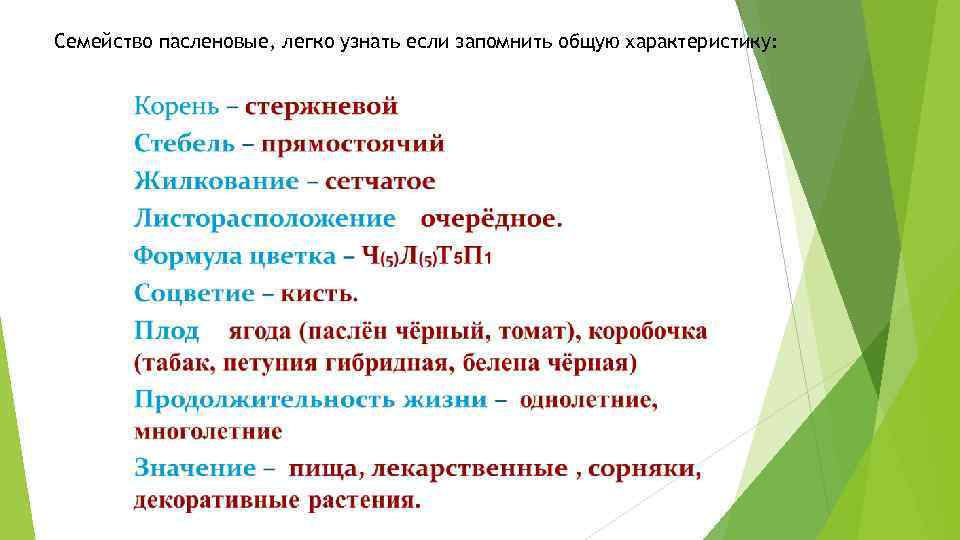 Описание семейства пасленовые по плану 6 класс