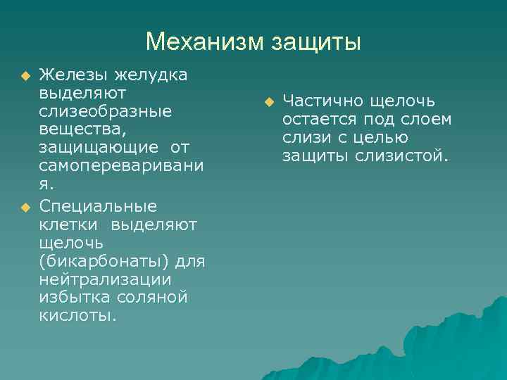 Механизм защиты u u Железы желудка выделяют слизеобразные вещества, защищающие от самопереваривани я. Специальные