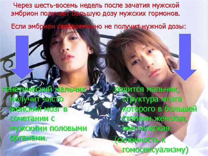 Через шесть-восемь недель после зачатия мужской эмбрион получает большую дозу мужских гормонов. Если эмбрион