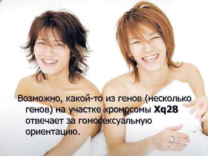 Возможно, какой-то из генов (несколько генов) на участке хромосомы Xq 28 отвечает за гомосексуальную