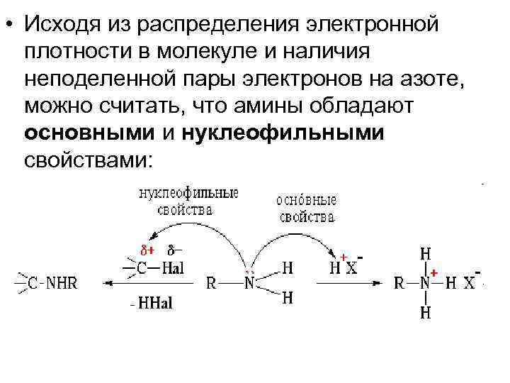  • Исходя из распределения электронной плотности в молекуле и наличия неподеленной пары электронов
