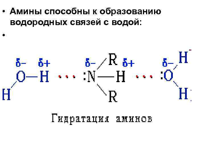 Nh3 связь. Nh3 водородная связь схема. Метиламин водородная связь. Схема образования водородных связей метиламина. Водородные связи Аминов.