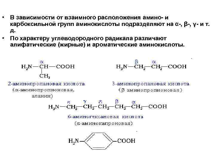  • В зависимости от взаимного расположения амино и карбоксильной групп аминокислоты подразделяют на