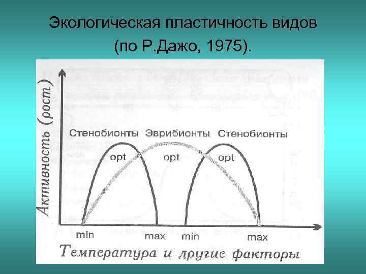 Пластичность виды