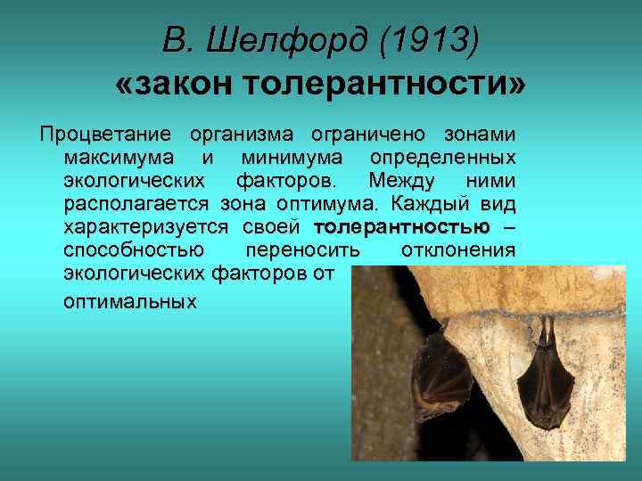 В. Шелфорд (1913) «закон толерантности» Процветание организма ограничено зонами максимума и минимума определенных экологических