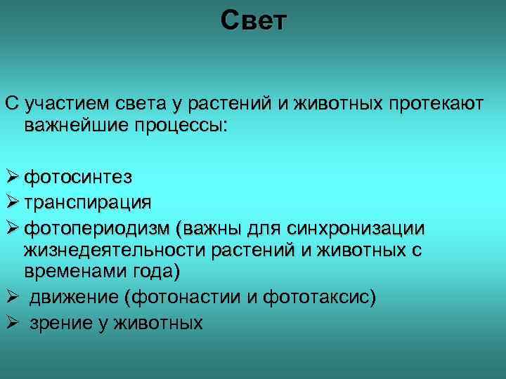 Свет С участием света у растений и животных протекают важнейшие процессы: Ø фотосинтез Ø