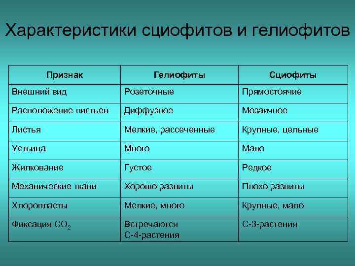 Характеристики сциофитов и гелиофитов Признак Гелиофиты Сциофиты Внешний вид Розеточные Прямостоячие Расположение листьев Диффузное