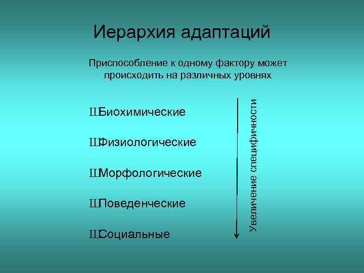 Иерархия адаптаций Ш Биохимические Ш Физиологические Ш Морфологические Ш Поведенческие Ш Социальные Увеличение специфичности