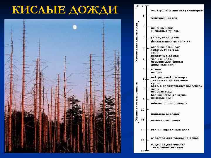 КИСЛЫЕ ДОЖДИ 