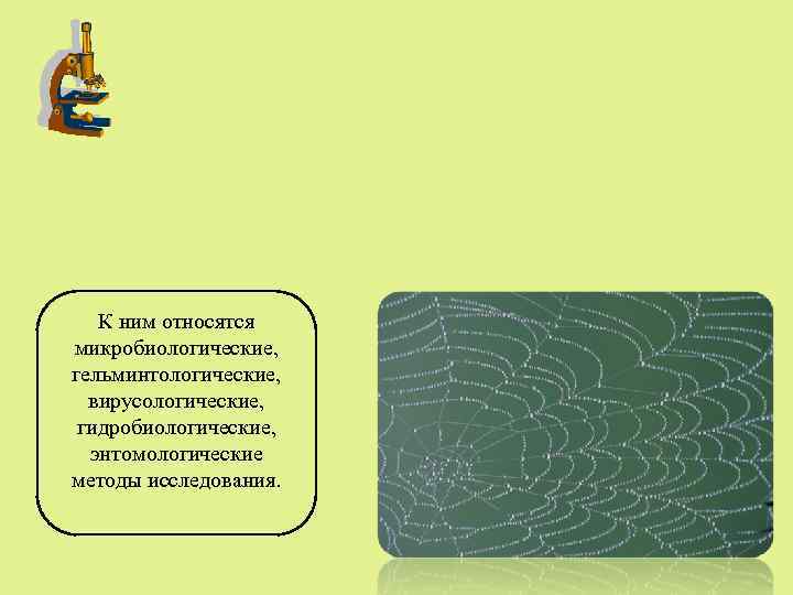 К ним относятся микробиологические, гельминтологические, вирусологические, гидробиологические, энтомологические методы исследования. 