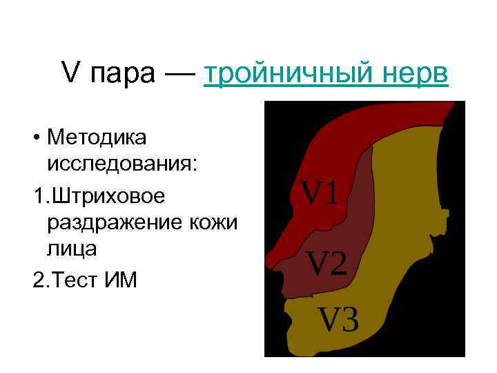 V пара — тройничный нерв • Методика исследования: 1. Штриховое раздражение кожи лица 2.