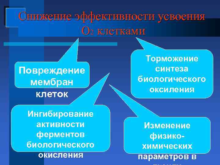Снижение эффективности усвоения О 2 клетками Повреждение мембран клеток Ингибирование активности ферментов биологического окисления