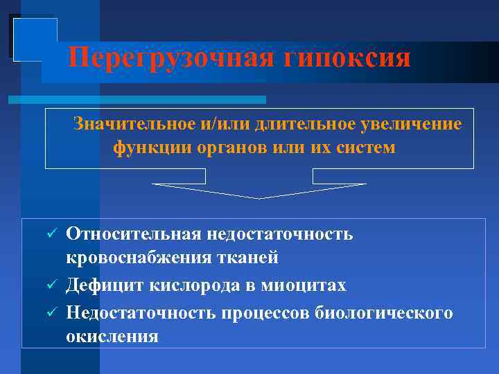 Перегрузочная гипоксия Значительное и/или длительное увеличение функции органов или их систем Относительная недостаточность кровоснабжения