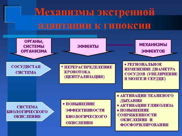 Экстренная адаптация к гипоксии схема