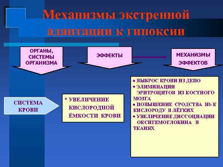 Механизмы экстренной адаптации к гипоксии ОРГАНЫ, СИСТЕМЫ ОРГАНИЗМА СИСТЕМА КРОВИ ЭФФЕКТЫ МЕХАНИЗМЫ ЭФФЕКТОВ *