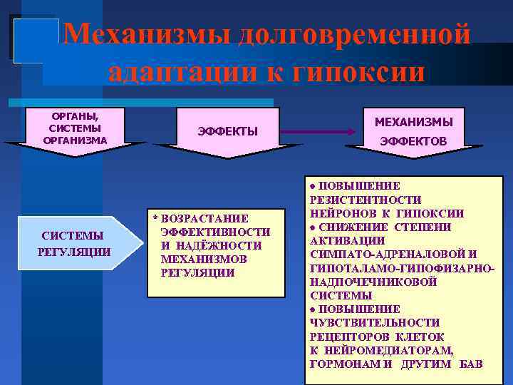 Механизмы долговременной адаптации к гипоксии ОРГАНЫ, СИСТЕМЫ ОРГАНИЗМА СИСТЕМЫ РЕГУЛЯЦИИ ЭФФЕКТЫ * ВОЗРАСТАНИЕ ЭФФЕКТИВНОСТИ
