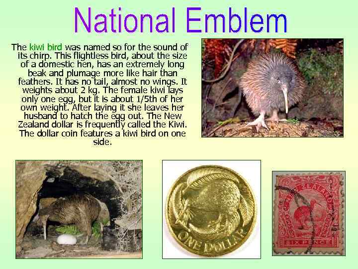 The kiwi bird was named so for the sound of its chirp. This flightless