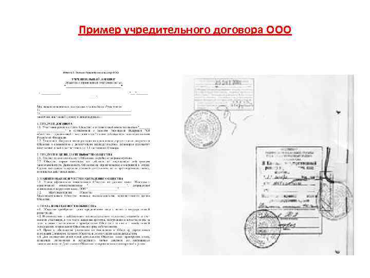 Пример учредительного договора ООО 