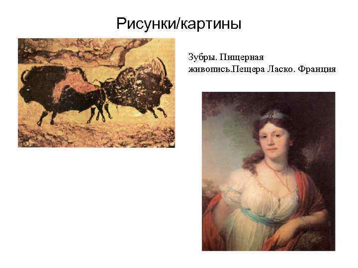 Рисунки/картины Зубры. Пищерная живопись. Пещера Ласко. Франция 