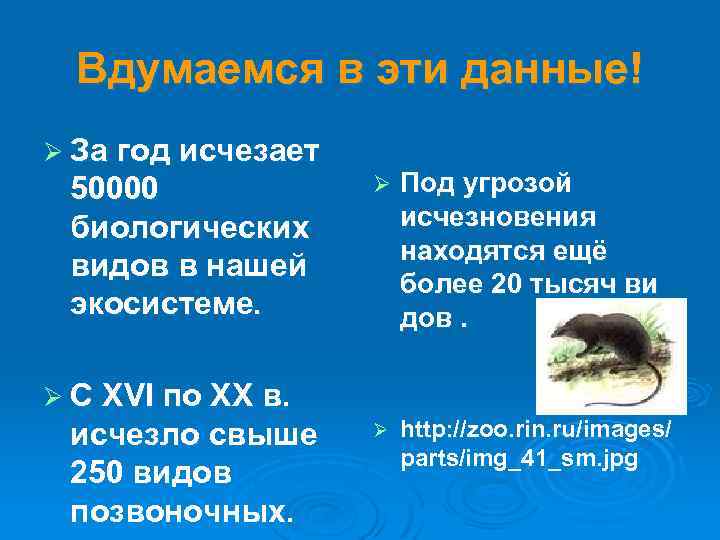 Вдумаемся в эти данные! Ø За год исчезает 50000 биологических видов в нашей экосистеме.