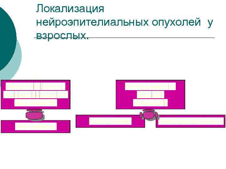 Локализация нейроэпителиальных опухолей у взрослых. 