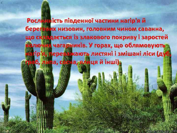 Рослинність південної частини нагір'я й берегових низовин, головним чином саванна, що складається із злакового