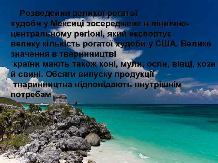 Розведення великої рогатої худоби у Мексиці зосереджене в північноцентральному регіоні, який експортує велику кількість