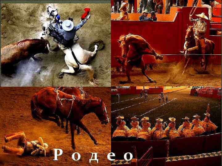 Р о д е о 