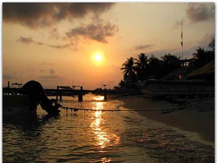 Дякую за увагу ! 