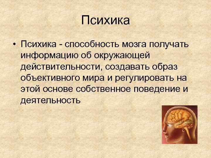 Психика способность. Способности психики. Способность получать информацию об окружающей действительности. Сообщение способности мозга. Доказательство того что психика способность мозга.