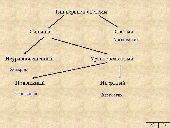 Тип нервной системы Сильный Слабый Меланхолик Неуравновешенный Уравновешенный Холерик Подвижный Инертный Сангвиник Флегматик 