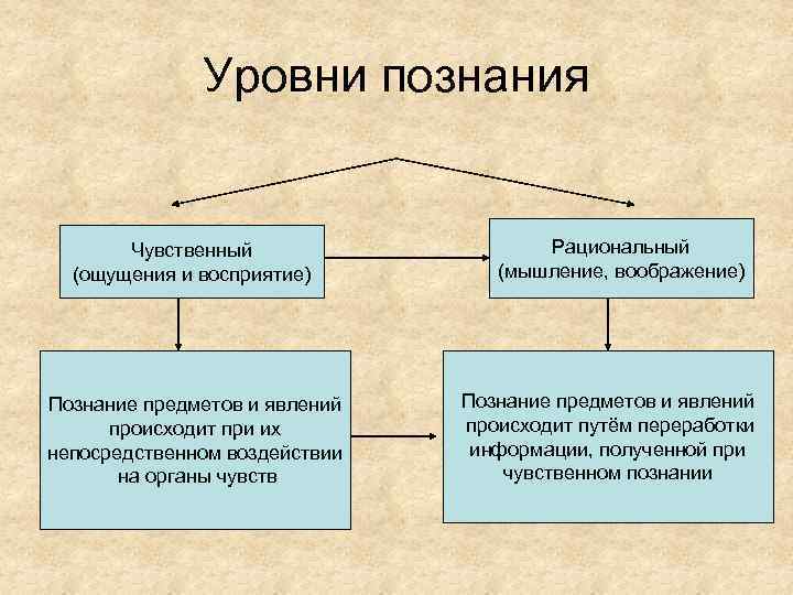 Уровни познания Чувственный (ощущения и восприятие) Познание предметов и явлений происходит при их непосредственном