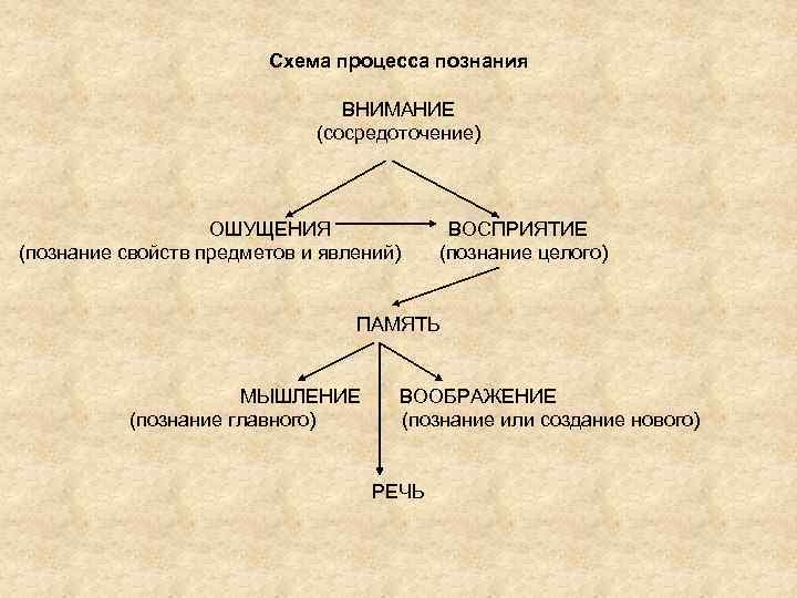 Схема процесса познания