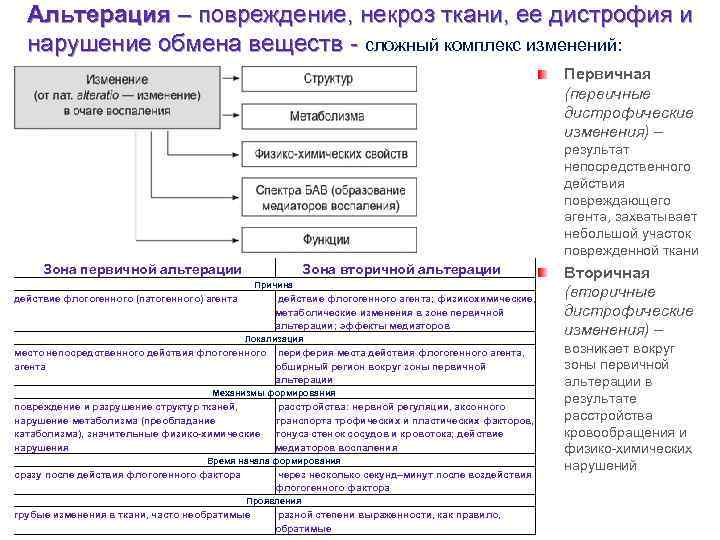 Альтерация – повреждение, некроз ткани, ее дистрофия и нарушение обмена веществ - сложный комплекс