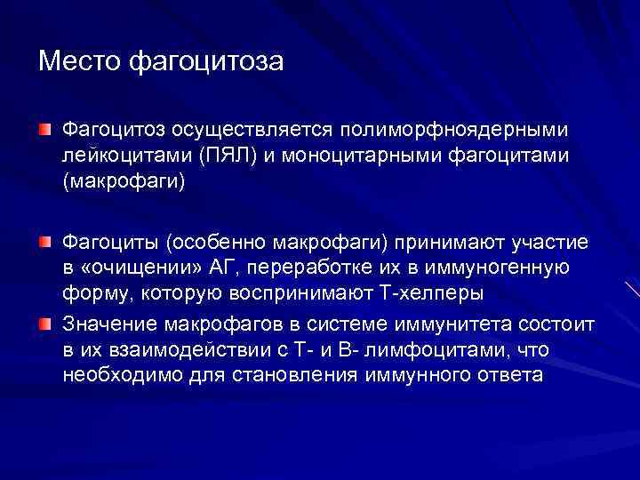 Место фагоцитоза Фагоцитоз осуществляется полиморфноядерными лейкоцитами (ПЯЛ) и моноцитарными фагоцитами (макрофаги) Фагоциты (особенно макрофаги)