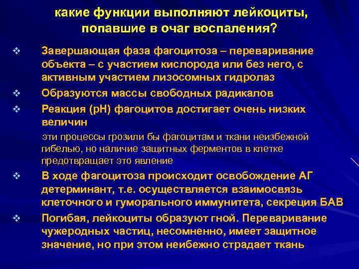  какие функции выполняют лейкоциты, попавшие в очаг воспаления? v v v Завершающая фаза