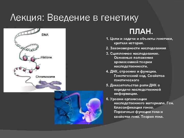 Презентация введение в генетику