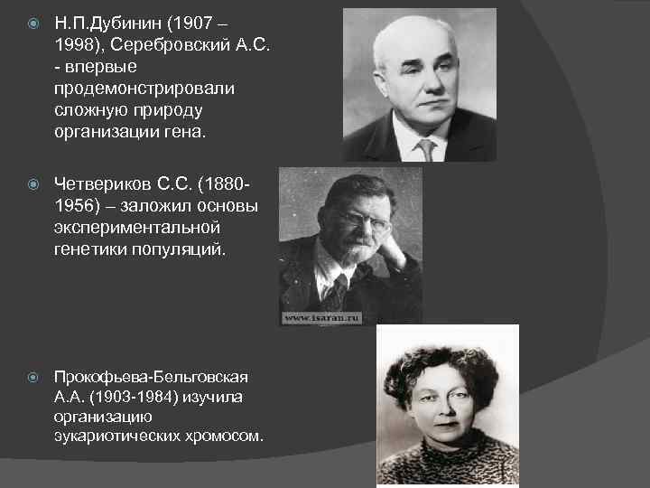  Н. П. Дубинин (1907 – 1998), Серебровский А. С. - впервые продемонстрировали сложную