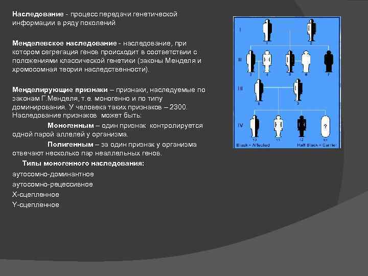 Ряд поколений. Наследование процесс передачи генетической информации. Менделевское наследование. Менделевский Тип наследования. Передача генетической информации в ряду поколений.