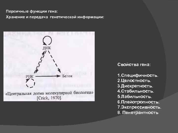 Первичные функции гена: Хранение и передача генетической информации: Свойства гена: 1. Специфичность. 2. Целостность.