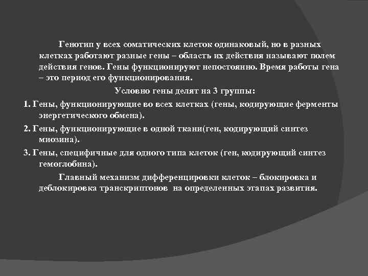 Генотип у всех соматических клеток одинаковый, но в разных клетках работают разные гены –