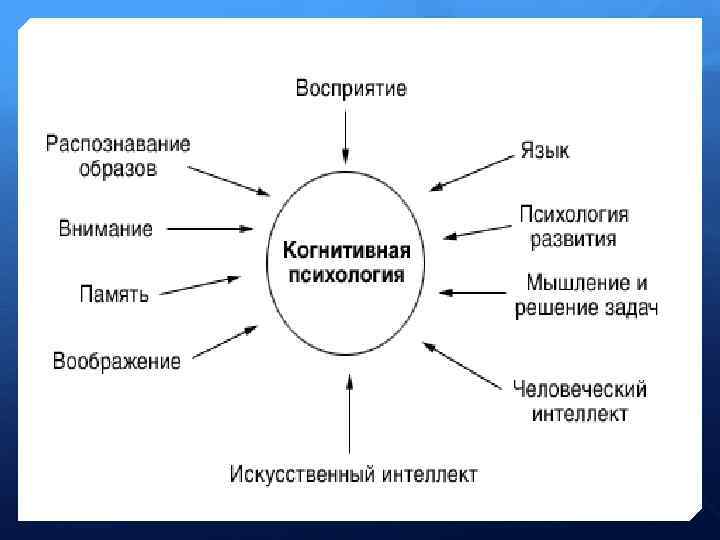 Когнитивная психология пример. Теории личности в когнитивной психологии: Дж. Келли. Когнитивная психология схема. Когнитивная сфера это в психологии. Основные направления исследований когнитивной психологии.