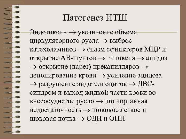 Патогенез ИТШ Эндотоксин увеличение объема циркуляторного русла выброс катехоламинов спазм сфинктеров МЦР и открытие