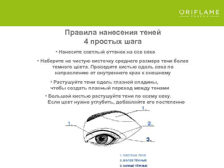 Правила нанесения теней 4 простых шага • Нанесите светлый оттенок на все веко •
