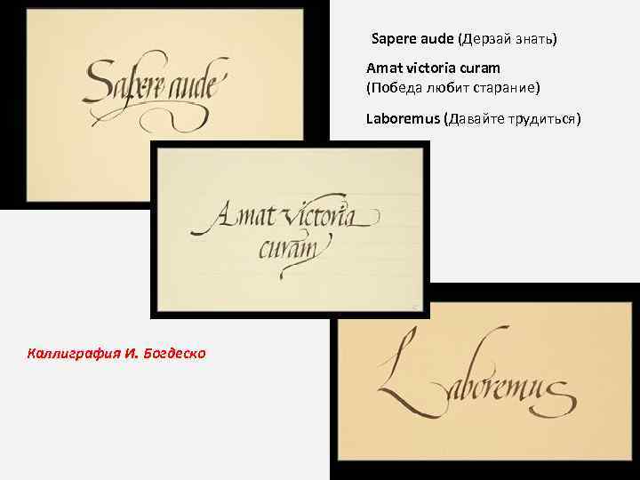 Sapere aude (Дерзай знать) Amat victoria curam (Победа любит старание) Laboremus (Давайте трудиться) Каллиграфия