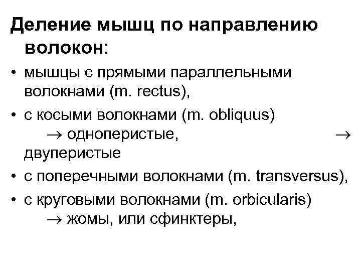 Деление мышц по направлению волокон: • мышцы с прямыми параллельными волокнами (m. rectus), •