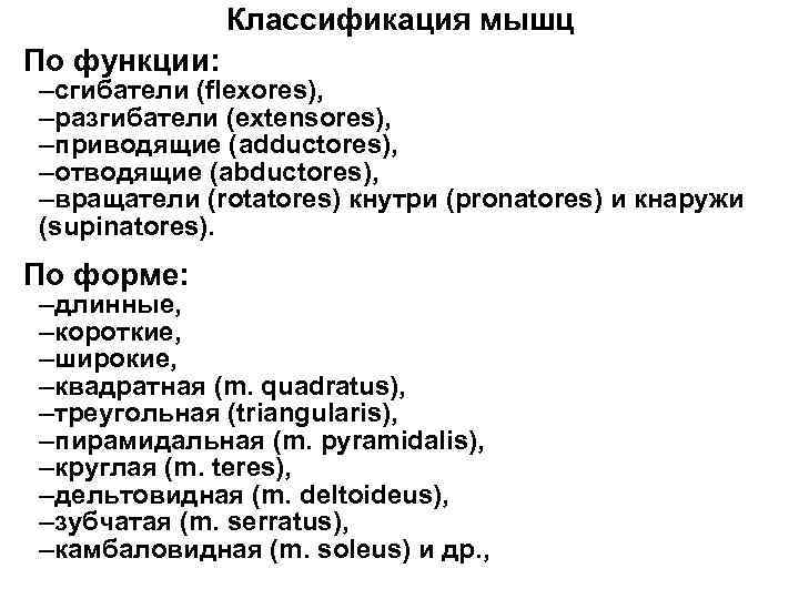 Классификация мышц По функции: –сгибатели (flexores), –разгибатели (ехtensores), –приводящие (adductores), –отводящие (abductores), –вращатели (rotatores)