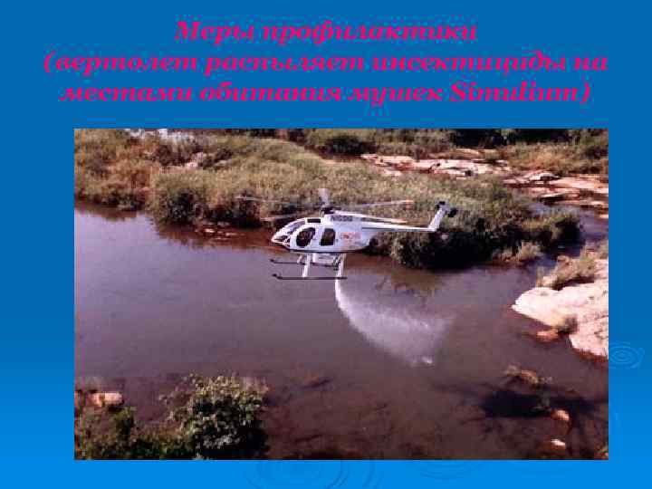 Меры профилактики (вертолет распыляет инсектициды на местами обитания мушек Simulium) 